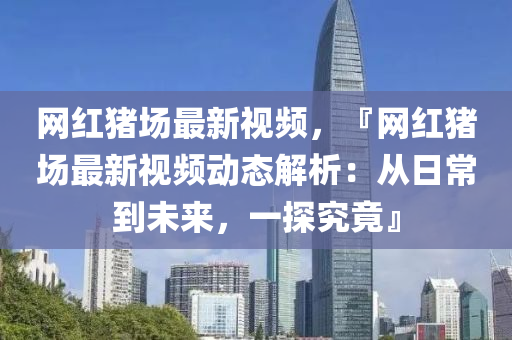 网红猪场最新视频，『网红猪场最新视频动态解析：从日常到未来，一探究竟』
