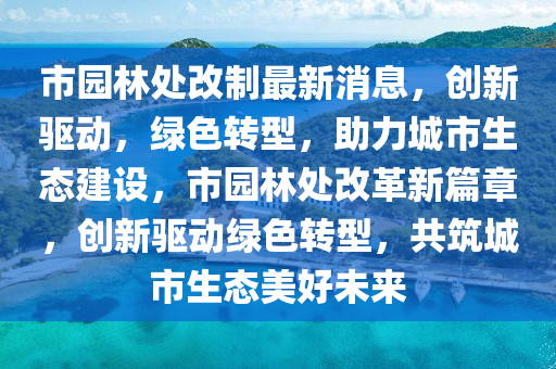 市园林处改制最新消息，创新驱动，绿色转型，助力城市生态建设，市园林处改革新篇章，创新驱动绿色转型，共筑城市生态美好未来