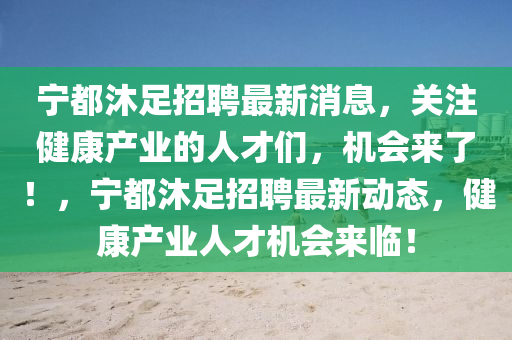 宁都沐足招聘最新消息，关注健康产业的人才们，机会来了！，宁都沐足招聘最新动态，健康产业人才机会来临！
