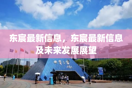 东宸最新信息，东宸最新信息及未来发展展望