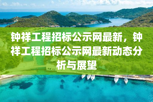 钟祥工程招标公示网最新，钟祥工程招标公示网最新动态分析与展望