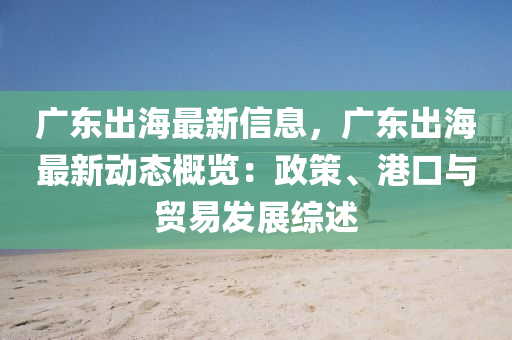 广东出海最新信息，广东出海最新动态概览：政策、港口与贸易发展综述