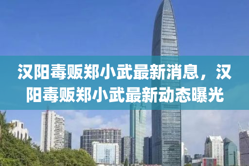 汉阳毒贩郑小武最新消息，汉阳毒贩郑小武最新动态曝光
