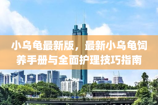 小乌龟最新版，最新小乌龟饲养手册与全面护理技巧指南