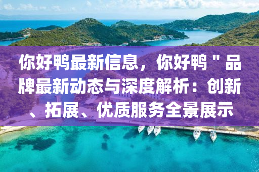 你好鸭最新信息，你好鸭＂品牌最新动态与深度解析：创新、拓展、优质服务全景展示