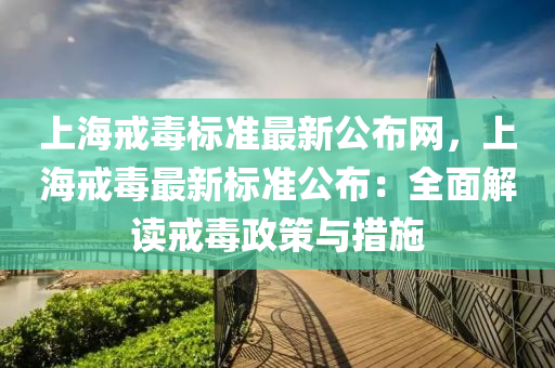 上海戒毒标准最新公布网，上海戒毒最新标准公布：全面解读戒毒政策与措施