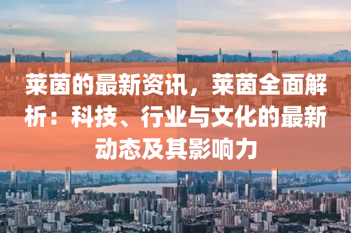 莱茵的最新资讯，莱茵全面解析：科技、行业与文化的最新动态及其影响力