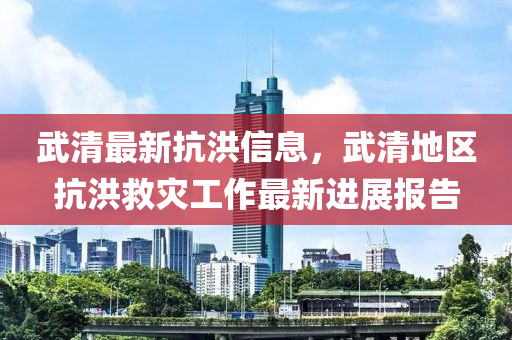 武清最新抗洪信息，武清地区抗洪救灾工作最新进展报告
