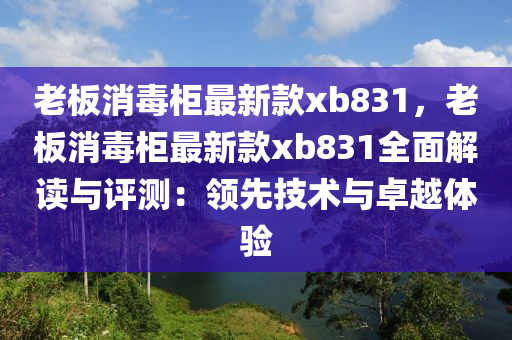 老板消毒柜最新款xb831，老板消毒柜最新款xb831全面解读与评测：领先技术与卓越体验