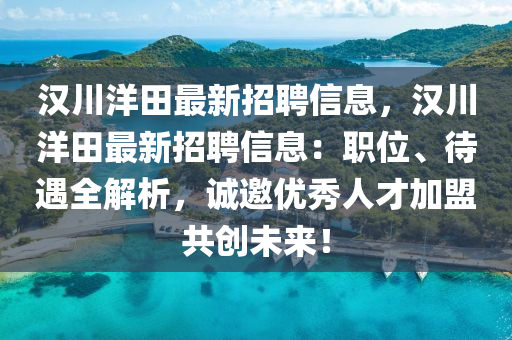 汉川洋田最新招聘信息，汉川洋田最新招聘信息：职位、待遇全解析，诚邀优秀人才加盟共创未来！