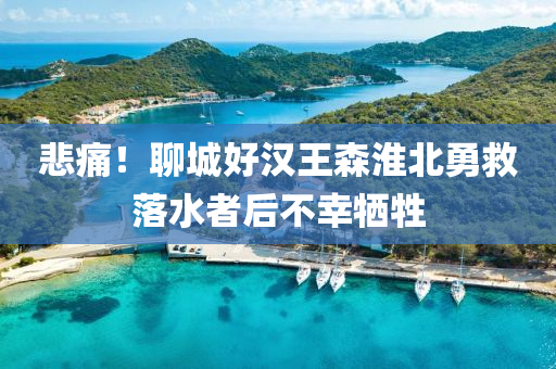 悲痛！聊城好汉王森淮北勇救落水者后不幸牺牲