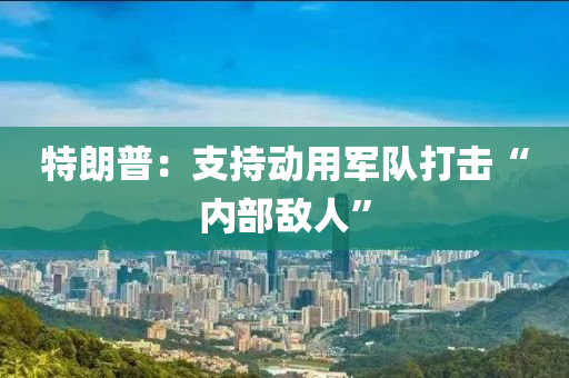 特朗普：支持动用军队打击“内部敌人”