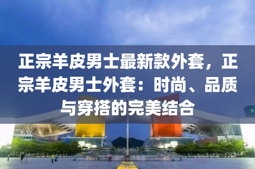 正宗羊皮男士最新款外套，正宗羊皮男士外套：时尚、品质与穿搭的完美结合