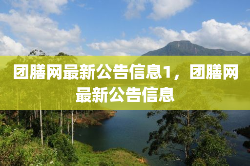 团膳网最新公告信息1，团膳网最新公告信息