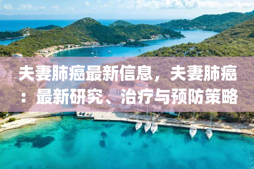 夫妻肺癌最新信息，夫妻肺癌：最新研究、治疗与预防策略