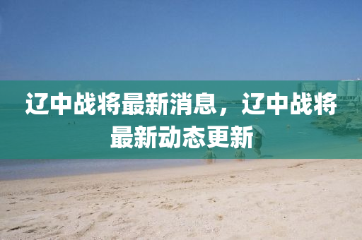 辽中战将最新消息，辽中战将最新动态更新
