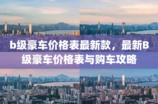 b级豪车价格表最新款，最新B级豪车价格表与购车攻略