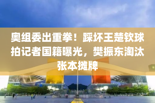 奥组委出重拳！踩坏王楚钦球拍记者国籍曝光，樊振东淘汰张本摊牌