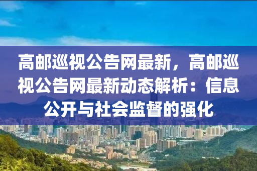 高邮巡视公告网最新，高邮巡视公告网最新动态解析：信息公开与社会监督的强化