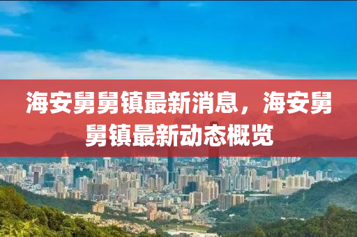 海安舅舅镇最新消息，海安舅舅镇最新动态概览