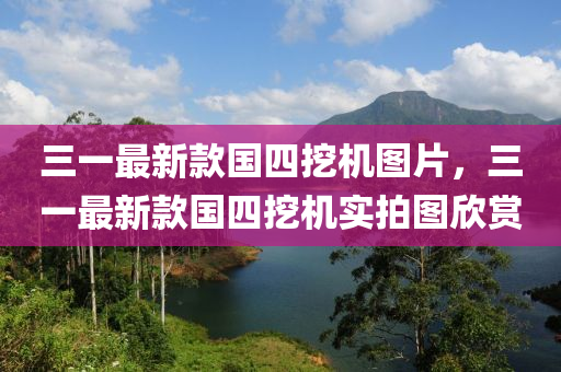三一最新款国四挖机图片，三一最新款国四挖机实拍图欣赏