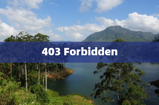 403 Forbidden