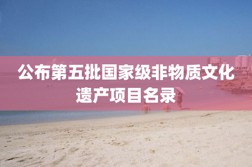 公布第五批国家级非物质文化遗产项目名录