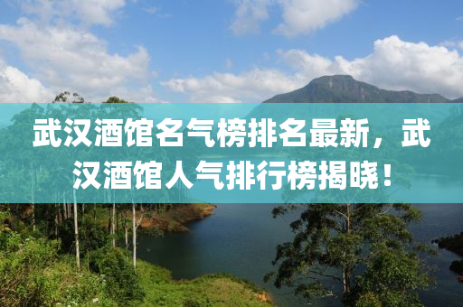 武汉酒馆名气榜排名最新，武汉酒馆人气排行榜揭晓！