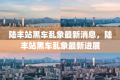 陆丰站黑车乱象最新消息，陆丰站黑车乱象最新进展