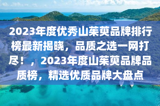 2023年度优秀山茱萸品牌排行榜最新揭晓，品质之选一网打尽！，2023年度山茱萸品牌品质榜，精选优质品牌大盘点