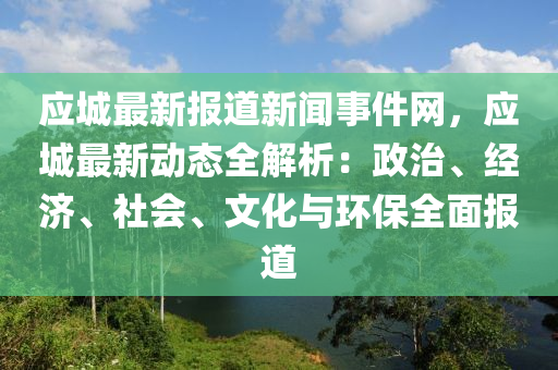 应城最新报道新闻事件网，应城最新动态全解析：政治、经济、社会、文化与环保全面报道
