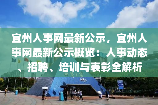 宜州人事网最新公示，宜州人事网最新公示概览：人事动态、招聘、培训与表彰全解析