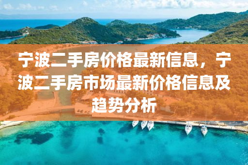 2025年3月20日 第13页
