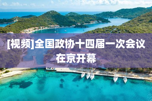 [视频]全国政协十四届一次会议在京开幕