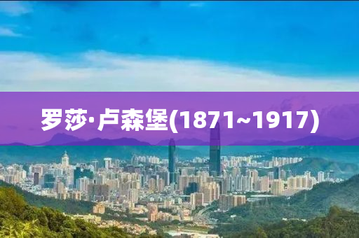 罗莎·卢森堡(1871~1917)