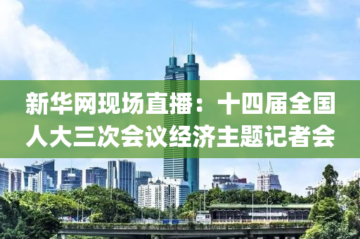 新华网现场直播：十四届全国人大三次会议经济主题记者会