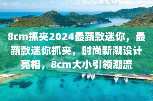8cm抓夹2024最新款迷你，最新款迷你抓夹，时尚新潮设计亮相，8cm大小引领潮流