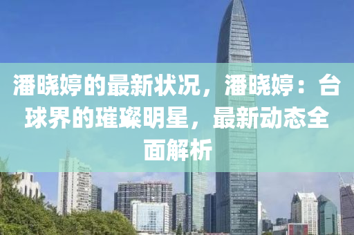 潘晓婷的最新状况，潘晓婷：台球界的璀璨明星，最新动态全面解析