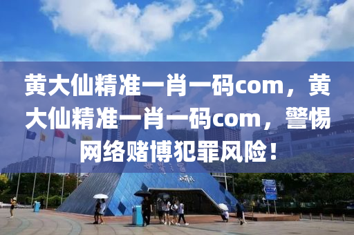 黄大仙精准一肖一码com，黄大仙精准一肖一码com，警惕网络赌博犯罪风险！