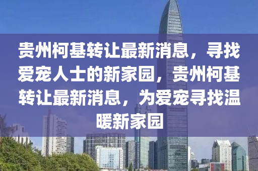 贵州柯基转让最新消息，寻找爱宠人士的新家园，贵州柯基转让最新消息，为爱宠寻找温暖新家园