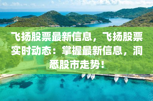 飞扬股票最新信息，飞扬股票实时动态：掌握最新信息，洞悉股市走势！