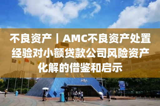 不良资产｜AMC不良资产处置经验对小额贷款公司风险资产化解的借鉴和启示