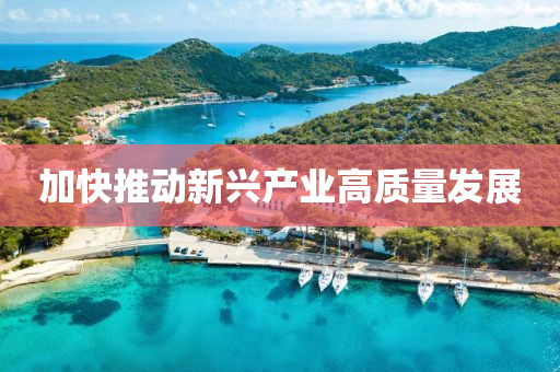 加快推动新兴产业高质量发展