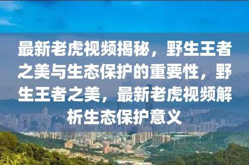 最新老虎视频揭秘，野生王者之美与生态保护的重要性，野生王者之美，最新老虎视频解析生态保护意义