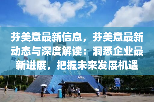 芬美意最新信息，芬美意最新动态与深度解读：洞悉企业最新进展，把握未来发展机遇