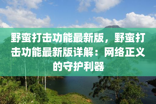 野蛮打击功能最新版，野蛮打击功能最新版详解：网络正义的守护利器