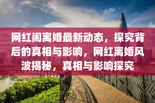 网红闹离婚最新动态，探究背后的真相与影响，网红离婚风波揭秘，真相与影响探究