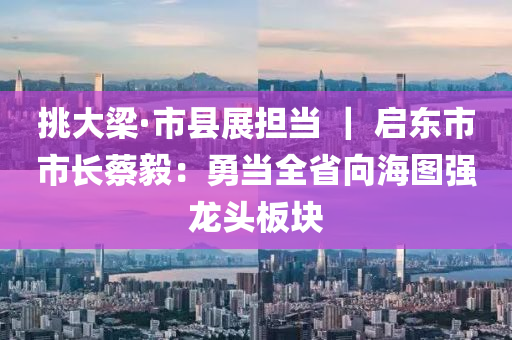 挑大梁·市县展担当 ｜ 启东市市长蔡毅：勇当全省向海图强龙头板块