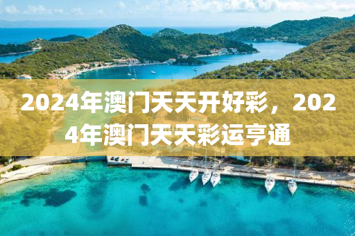 2024年澳门天天开好彩，2024年澳门天天彩运亨通