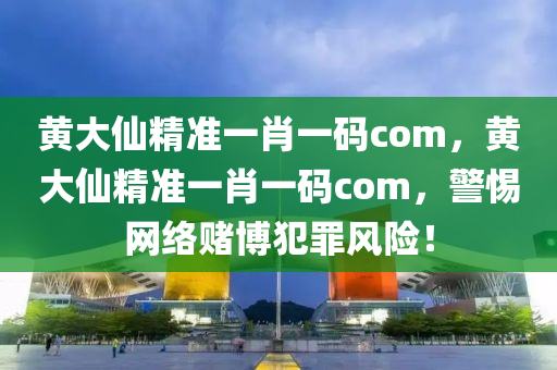 黄大仙精准一肖一码com，黄大仙精准一肖一码com，警惕网络赌博犯罪风险！